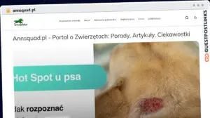 Publish Guest Post on annsquad.pl