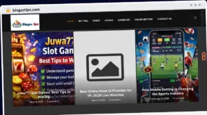 Publish Guest Post on bingostips.com