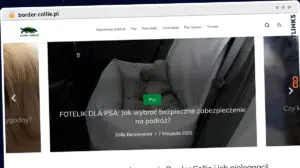 Publish Guest Post on border-collie.pl