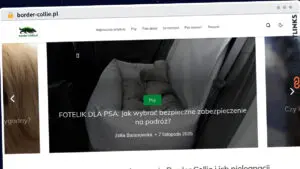 Publish Guest Post on border-collie.pl