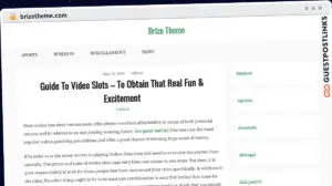Publish Guest Post on brizetheme.com