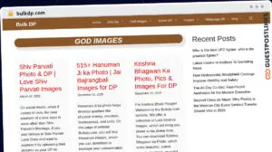 Publish Guest Post on bulkdp.com