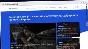 Publish Guest Post on buzdygan.com.pl