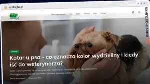 Publish Guest Post on czokajlo.pl