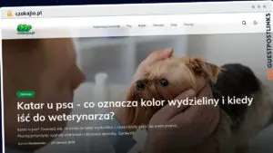 Publish Guest Post on czokajlo.pl