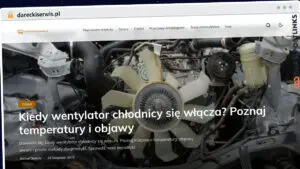 Publish Guest Post on dareckiserwis.pl