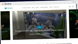 Publish Guest Post on dfa.net.pl