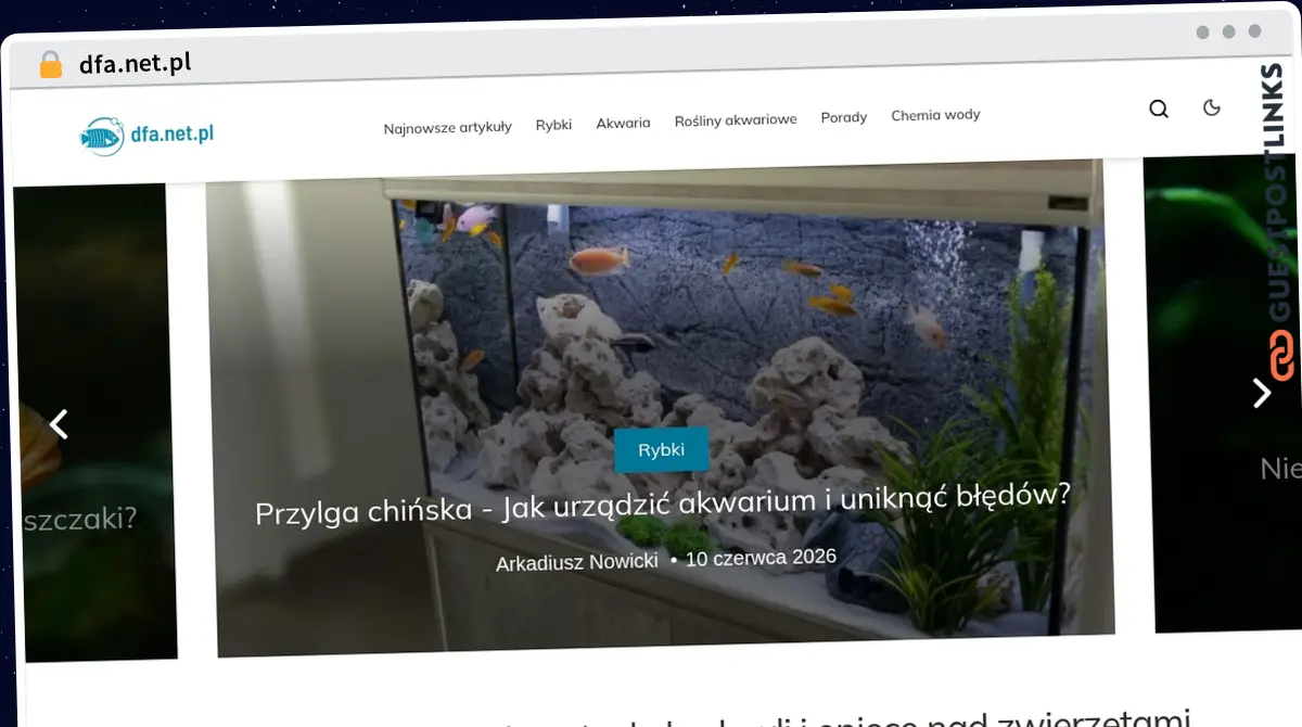Publish Guest Post on dfa.net.pl