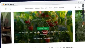 Publish Guest Post on e-morena.pl