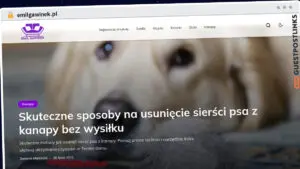 Publish Guest Post on emilgawinek.pl