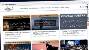 Publish Guest Post on hanisays.com