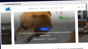 Publish Guest Post on haukeweterynarz.pl