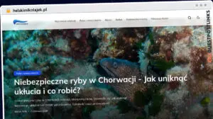 Publish Guest Post on helskimikolajek.pl