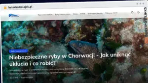 Publish Guest Post on helskimikolajek.pl