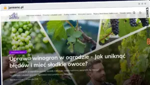 Publish Guest Post on jarmarsc.pl