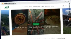 Publish Guest Post on kamienskiportal.pl