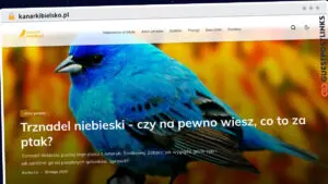 Publish Guest Post on kanarkibielsko.pl