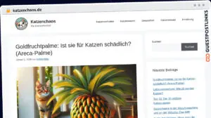 Publish Guest Post on katzenchaos.de