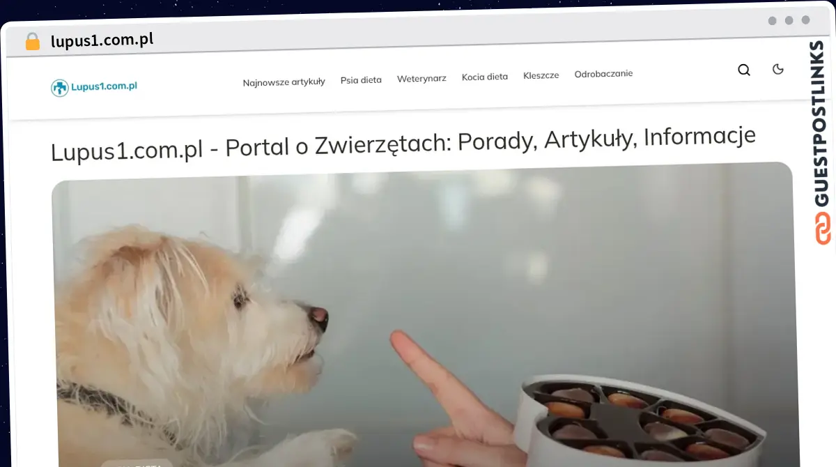Publish Guest Post on lupus1.com.pl