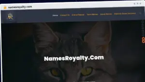 Publish Guest Post on namesroyalty.com