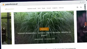 Publish Guest Post on podzoltaroza.pl