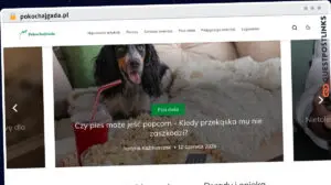 Publish Guest Post on pokochajgada.pl