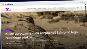 Publish Guest Post on ptasi-raj.pl