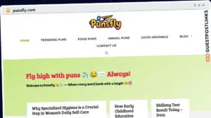 Publish Guest Post on punsfly.com
