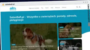 Publish Guest Post on salonbafi.pl