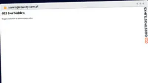 Publish Guest Post on serwisgrzewczy.com.pl