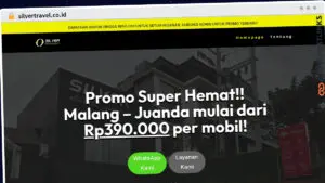 Publish Guest Post on silvertravel.co.id