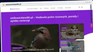 Publish Guest Post on smilowickiewilki.pl