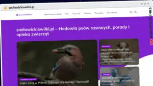 Publish Guest Post on smilowickiewilki.pl