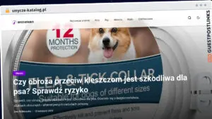 Publish Guest Post on smycze-katalog.pl