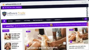 Publish Guest Post on softwaretricks.co.uk