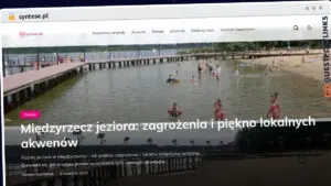 Publish Guest Post on syntese.pl