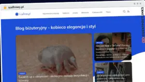Publish Guest Post on szafirowy.pl