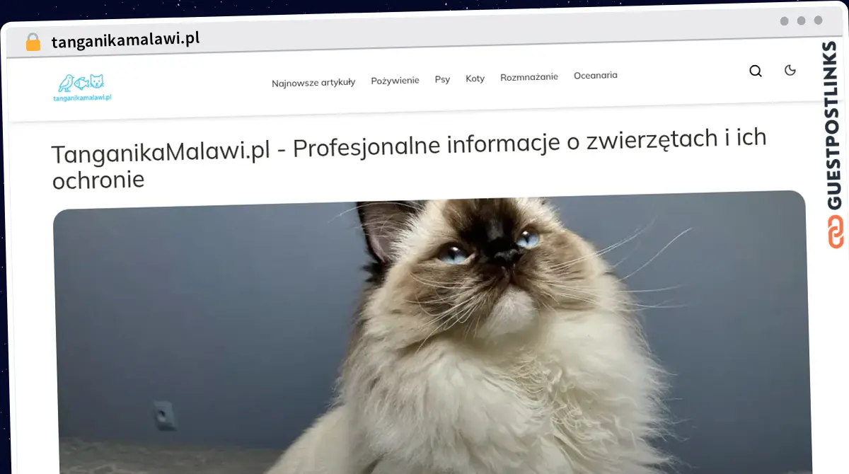 Publish Guest Post on tanganikamalawi.pl