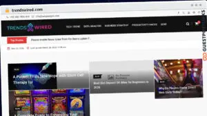 Publish Guest Post on trendswired.com