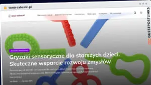 Publish Guest Post on twoje-zabawki.pl