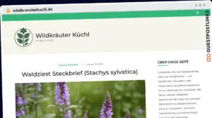 Publish Guest Post on wildkraeuterkuchl.de