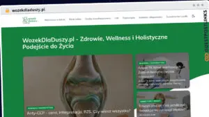 Publish Guest Post on wozekdladuszy.pl