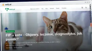 Publish Guest Post on wufy.pl