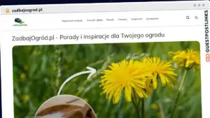 Publish Guest Post on zadbajoogrod.pl