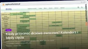 Publish Guest Post on zapleczefarmera.pl