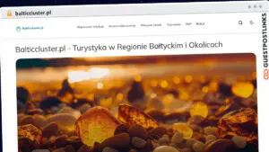 Publish Guest Post on balticcluster.pl