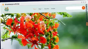 Publish Guest Post on bloemenpracht.be