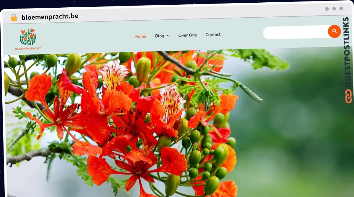 Publish Guest Post on bloemenpracht.be
