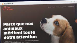 Publish Guest Post on faislebeau.fr