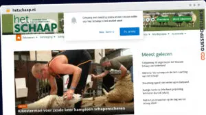Publish Guest Post on hetschaap.nl
